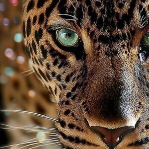 Reserved label 🏷️